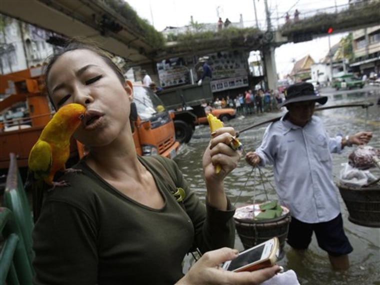 A Thai woman kisses her pet parrot along a flooded street in Bangkok, Thailand on Friday Oct. 28, 2011. The Chao Phraya river coursing through the capital swelled to record highs Friday, briefly flooding riverside buildings and an ornate royal complex at high tide amid fears that flood defenses could break and swamp the heart of the city. (AP Photo/Aaron Favila)